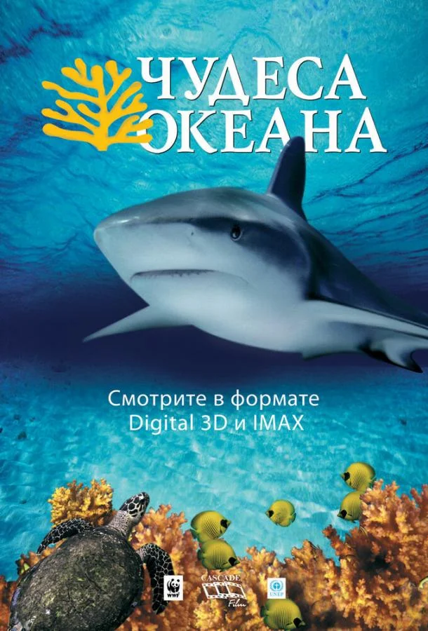 Смотреть Фильм Чудеса океана 3D(2003) бесплатно