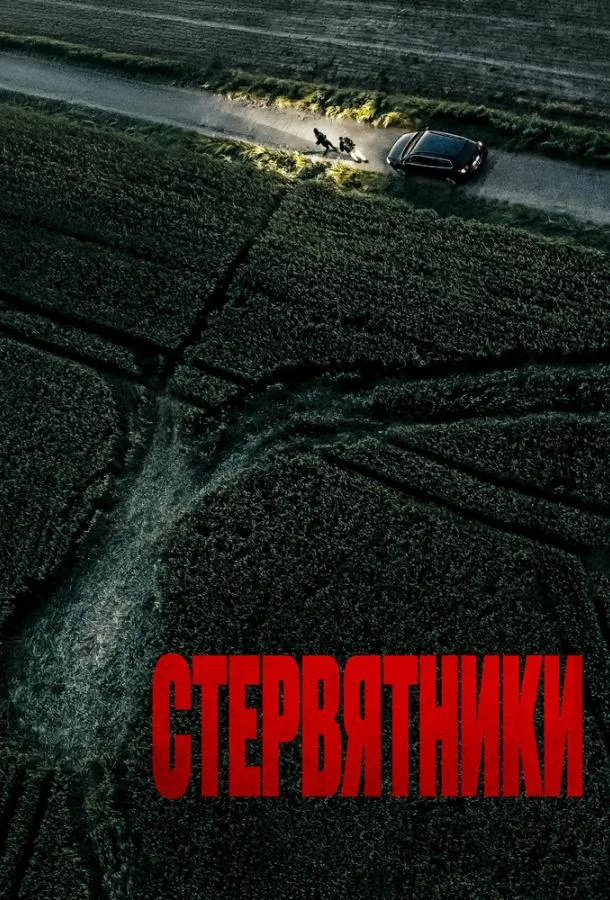 Смотреть Фильм Стервятники(2025) бесплатно